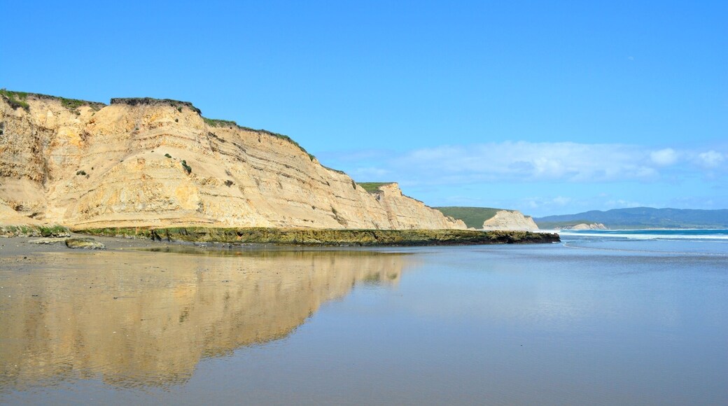 Drake's Beach in the Point Reyes National Seashore. Sometimes the elephant seals come right up onto the beach! #blue
More on http://www.ajauntwithjoy.com