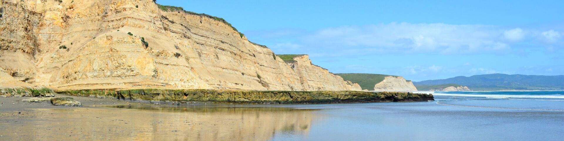 Drake's Beach in the Point Reyes National Seashore. Sometimes the elephant seals come right up onto the beach! #blue
More on http://www.ajauntwithjoy.com
