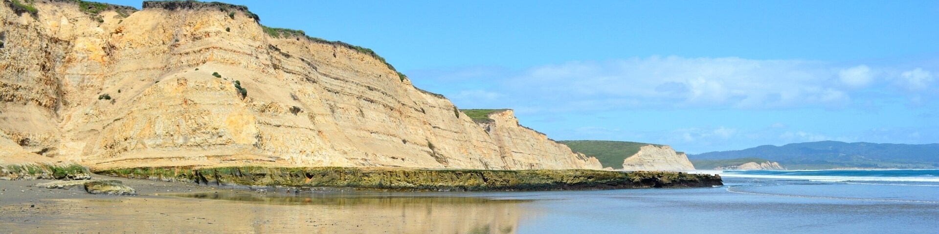 Drake's Beach in the Point Reyes National Seashore. Sometimes the elephant seals come right up onto the beach! #blue
More on http://www.ajauntwithjoy.com