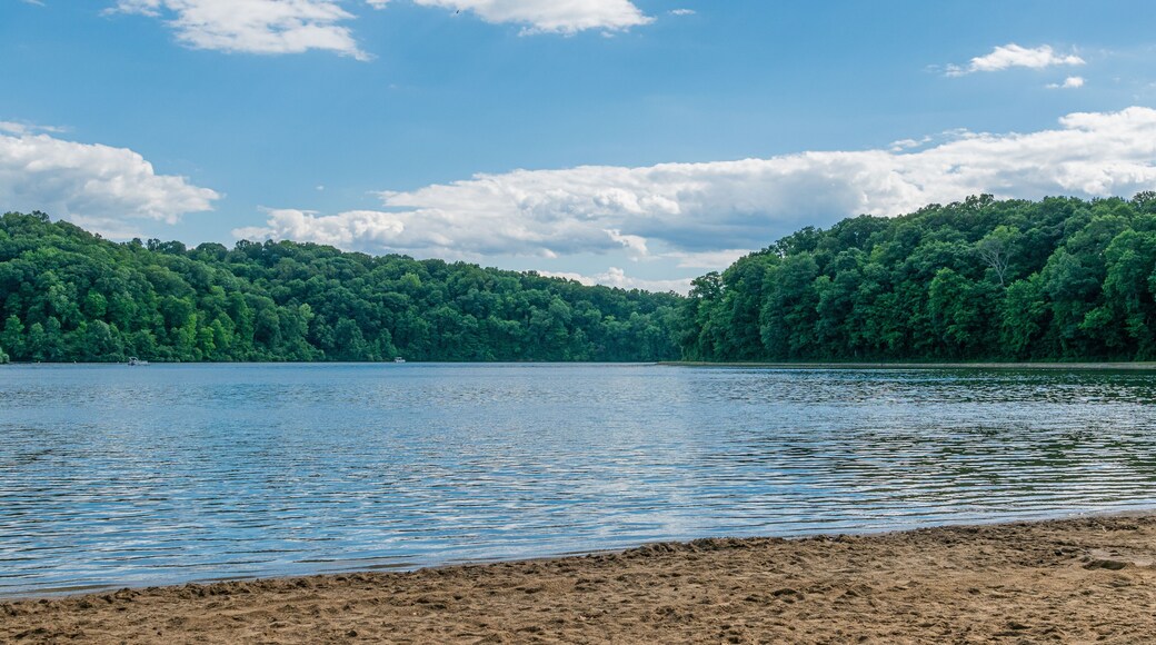 클리어 레이크 주립공원 해변