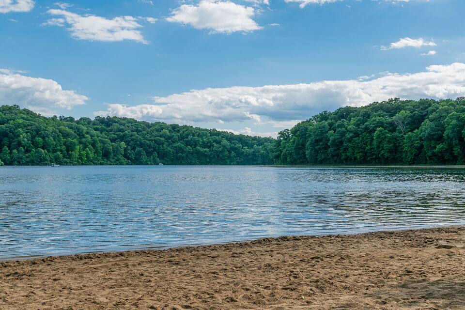 A lake with a sandy beach and dense green forest in the background.