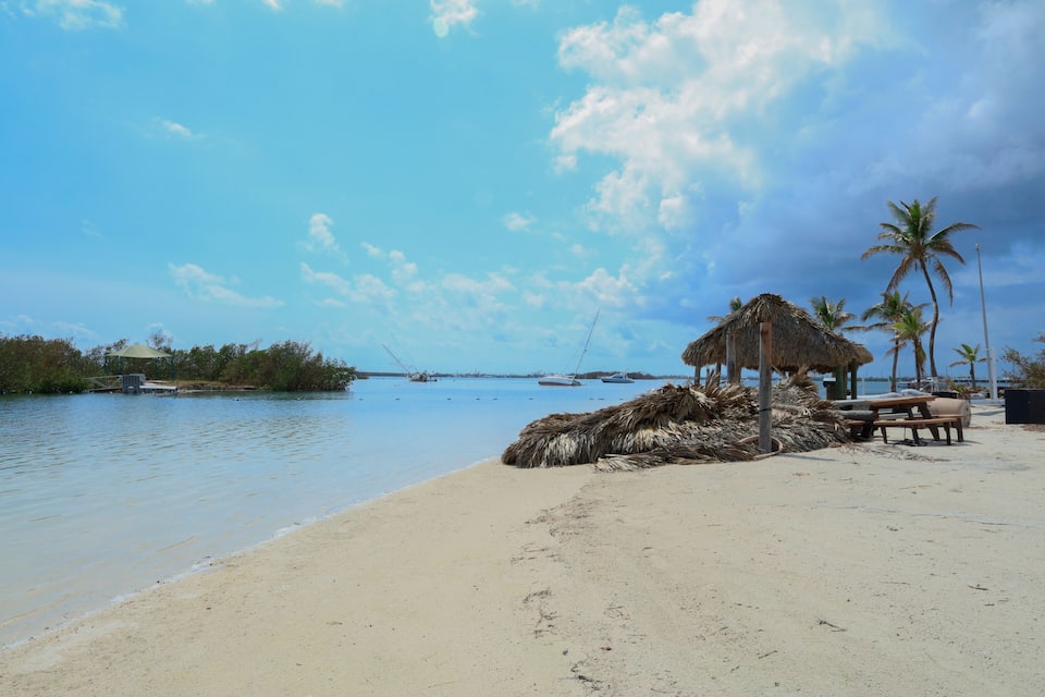 Une plage avec un abri de chaume, des palmiers et des bateaux sur l’eau.