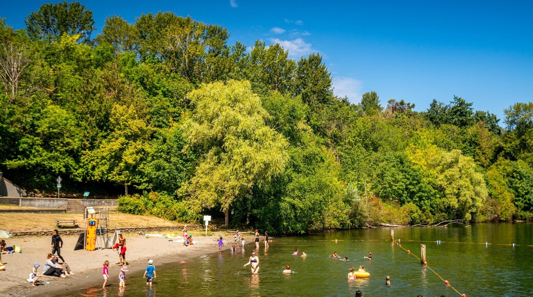 Mount Baker Beach which includes a lake or waterhole and swimming