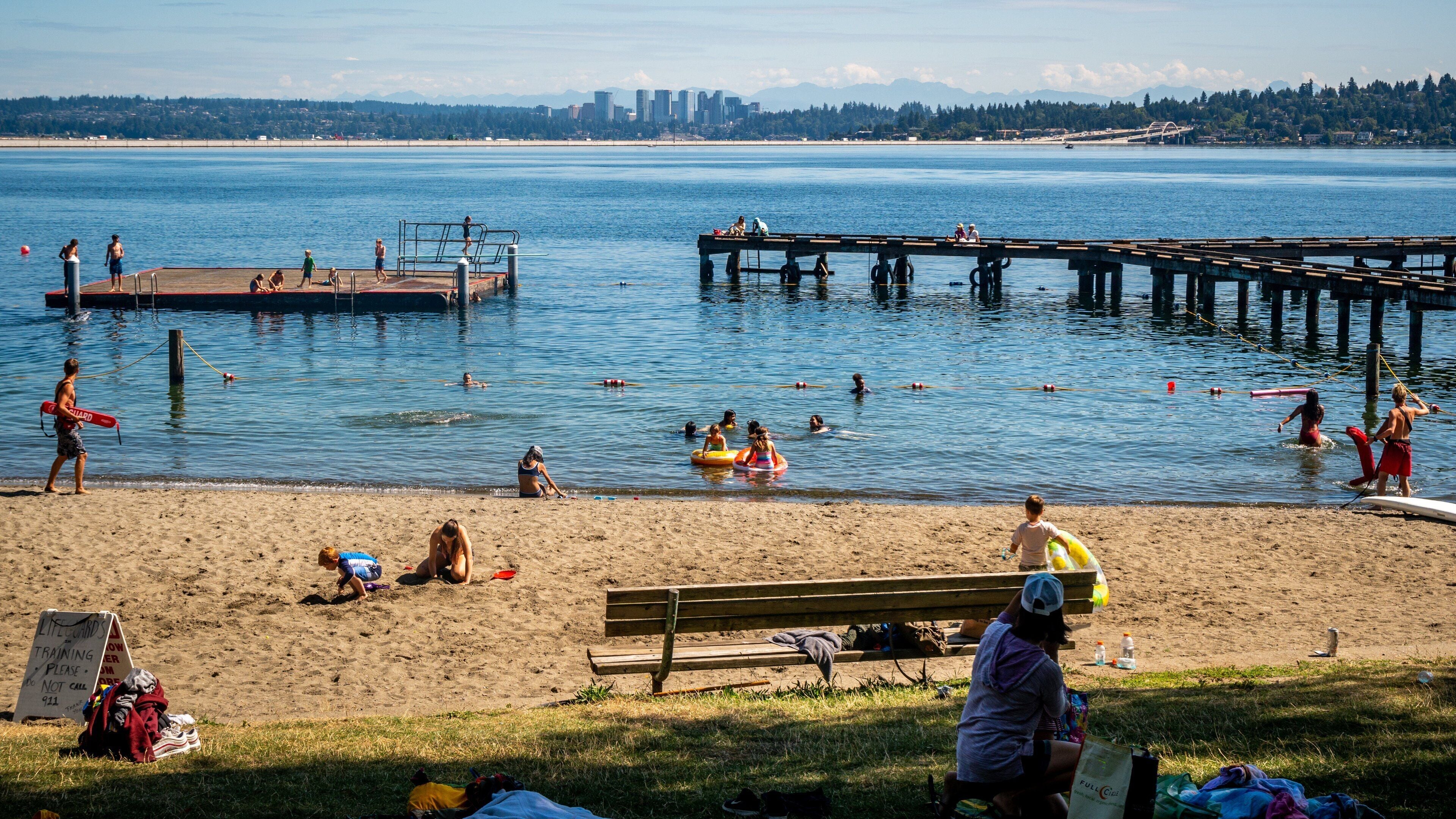 Mount Baker Beach showing a beach, swimming and general coastal views