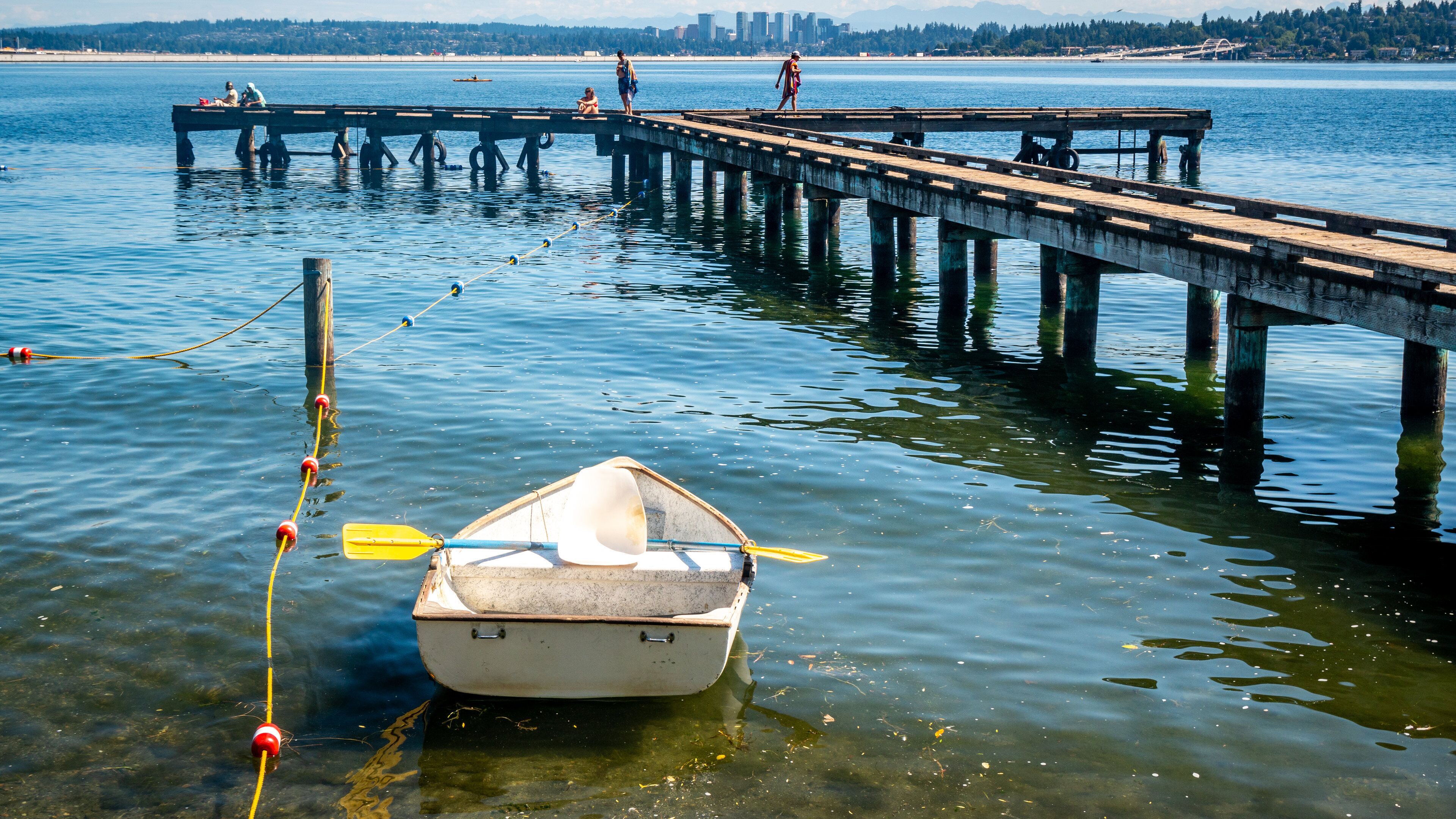 Mount Baker Beach showing general coastal views