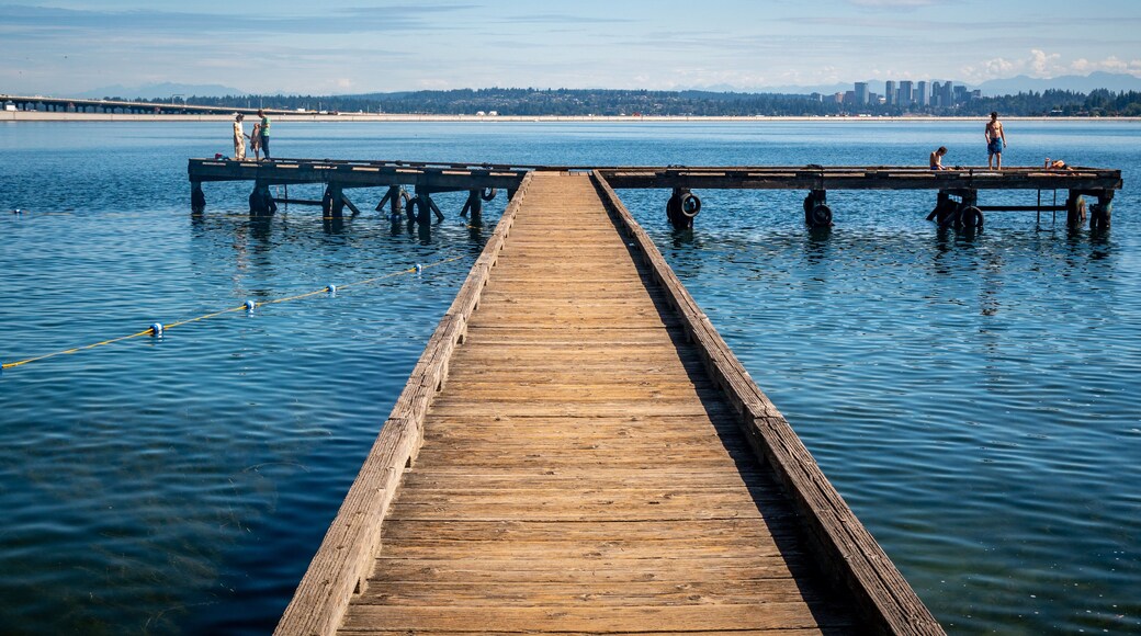 Mount Baker Beach featuring general coastal views