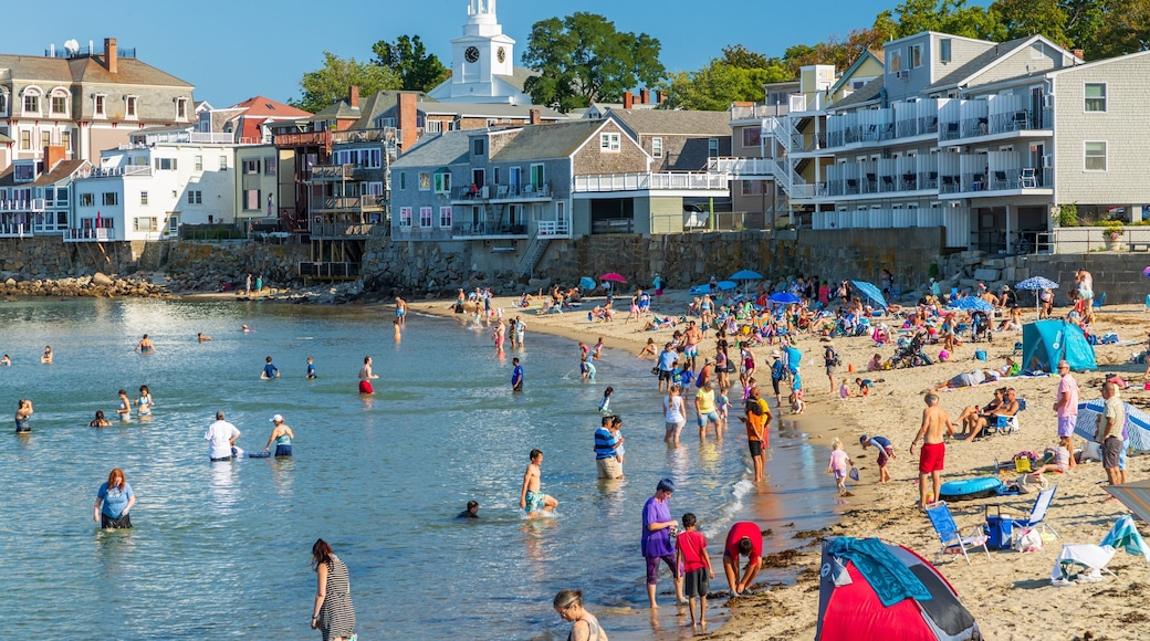 Front Beach showing general coastal views, a sandy beach and swimming