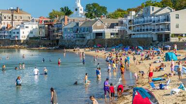 Front Beach showing general coastal views, a sandy beach and swimming