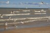 Beverly Shores Beach