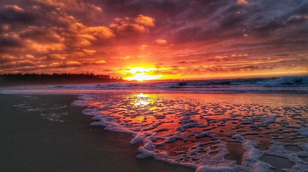 Amazing beautiful beach I go to often. Some big rock features to one end and on the other end there is a jetty but be careful in the park area near the jetty it is extremely bumpy