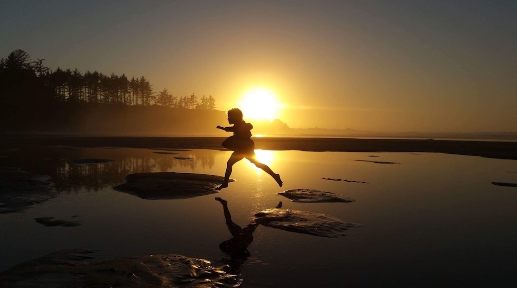 Beautiful beach in coos county off cape arago hwy