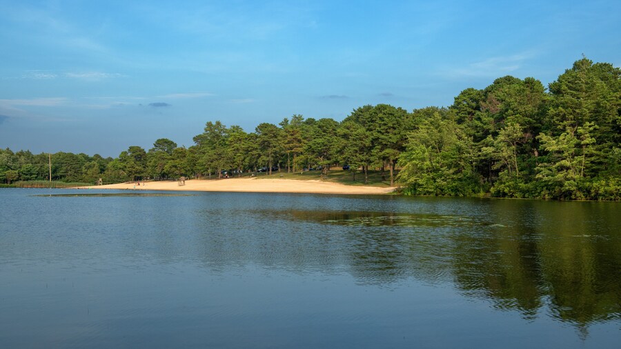Platja del Llac Parks
