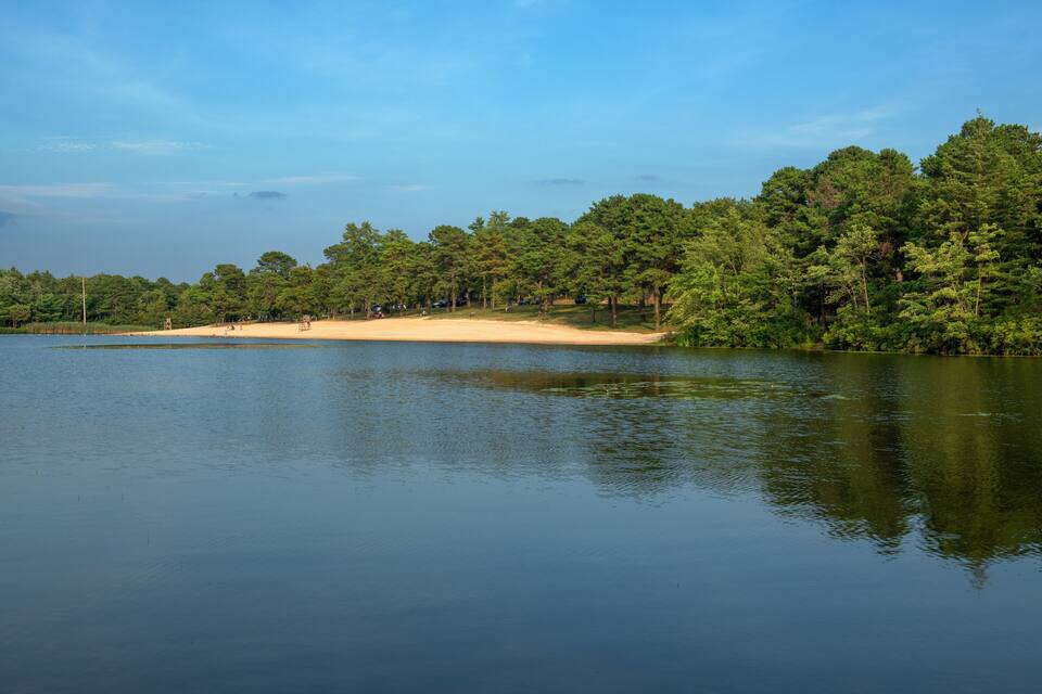 A calm lake surrounded by dense trees and a sandy beach.
