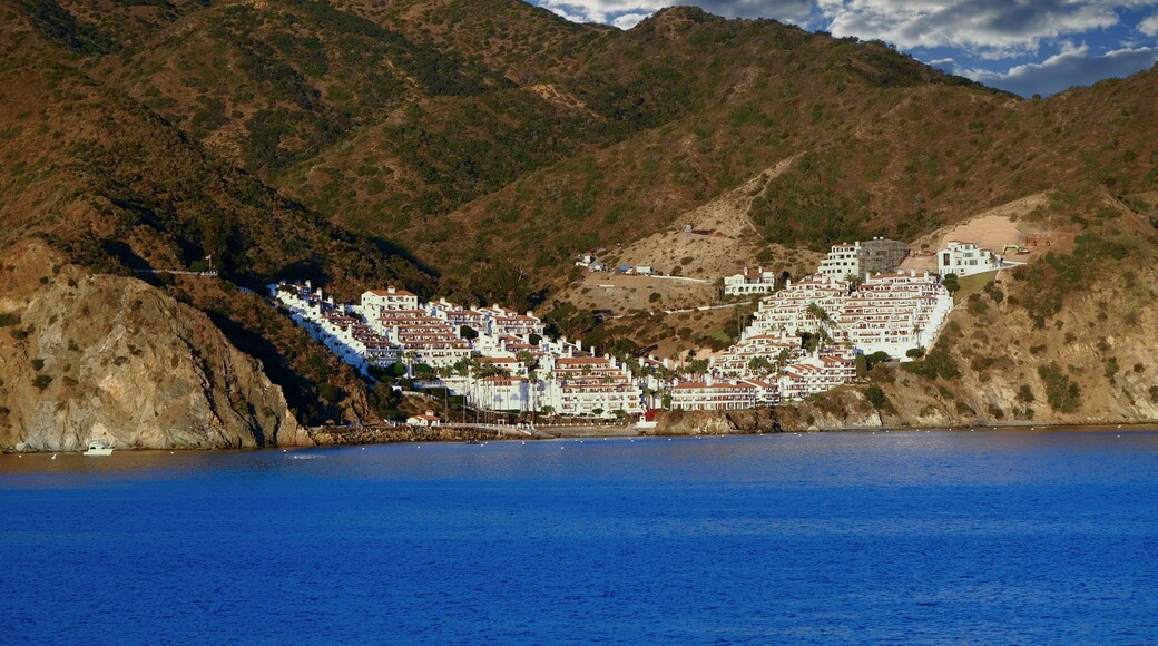 Hamilton Cove on Catalina Island Near Avalon