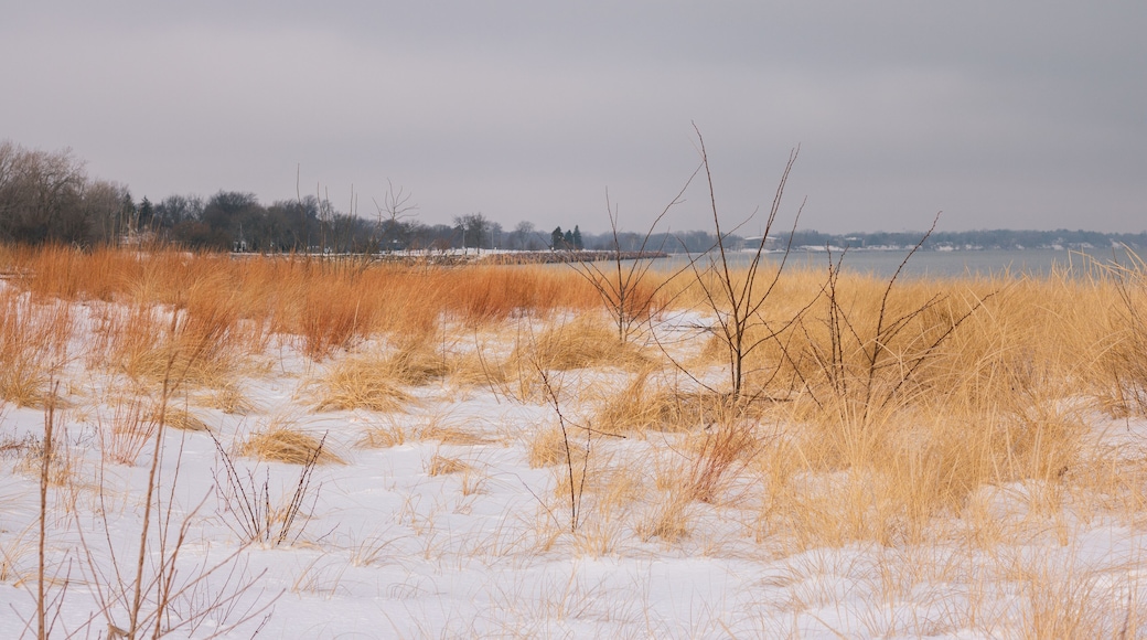 Simmons Island Beach