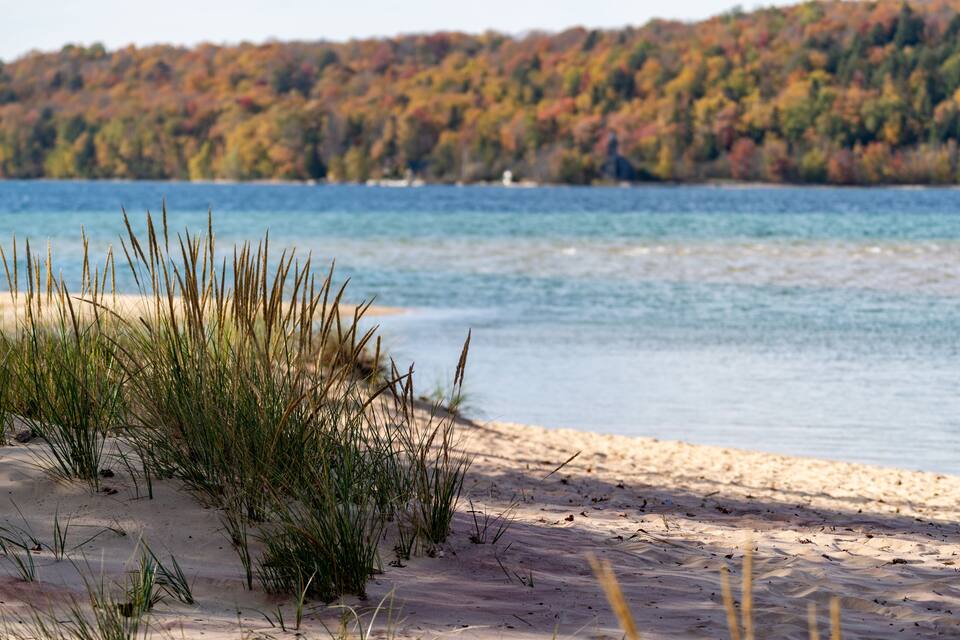 A beach with sand dunes and grass in the foreground, a lake in the middle ground, and a forested hill in the background.