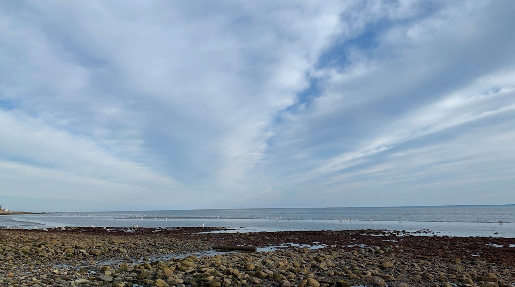 ロードシップ ビーチ