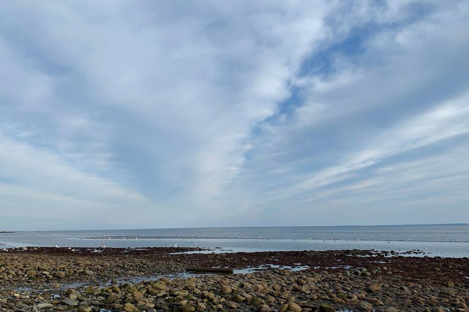 Una costa rocosa con mar en calma y cielo nublado.