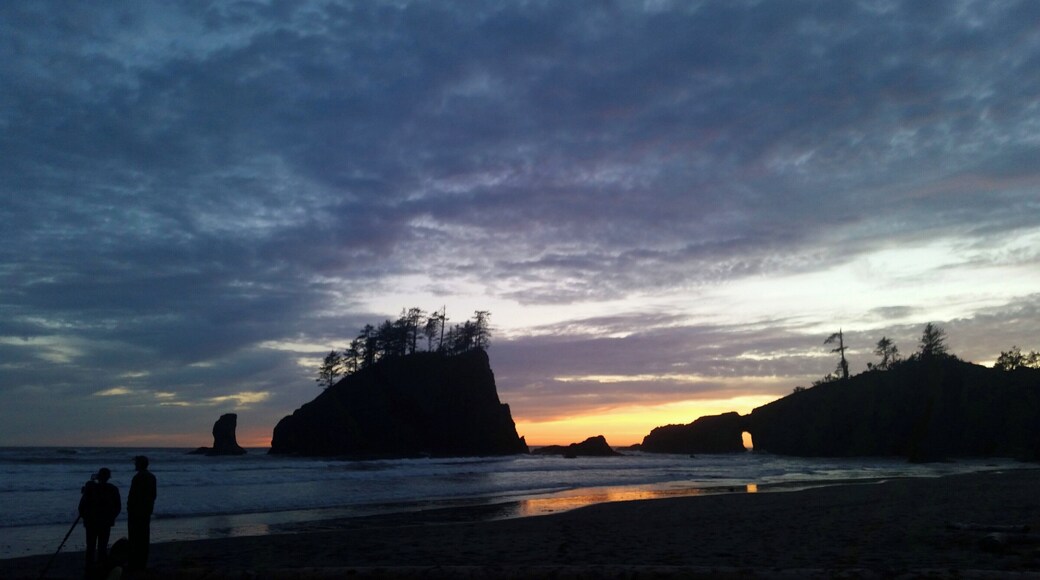 Ocean views, sea stacks, opportunities to view bald eagles and seals. Bird life is common on sea stacks. Whale migration occurs in March/April and October. #LifeAtExpedia