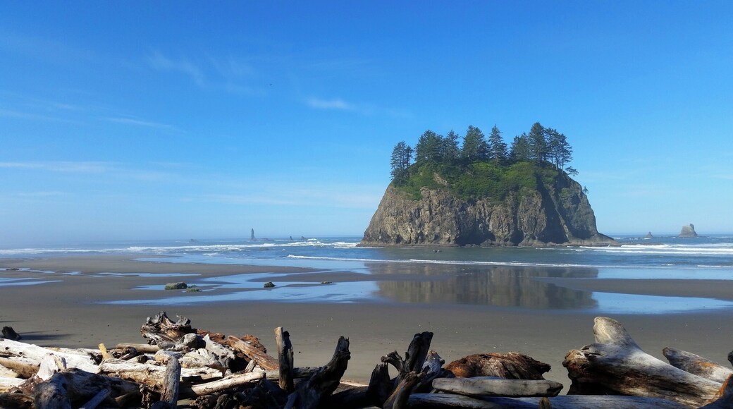 A few forested sites are available to camp at but beach camping is best. Camping space can be scarce in summer. #LifeAtExpedia