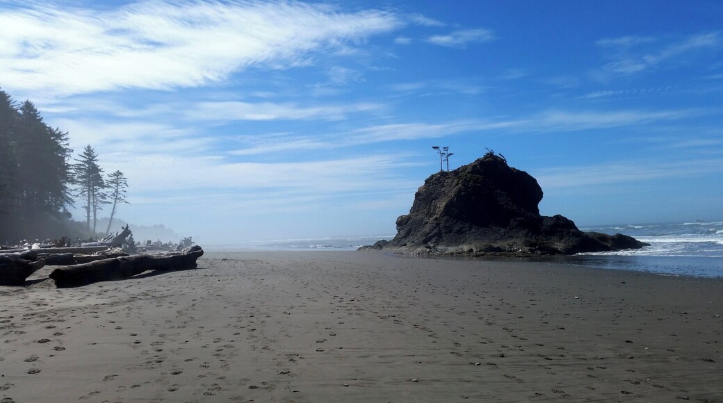 Do not try to round Teahwhit Head or Quateata Head! They are impassible, even at the lowest tide. #LifeAtExpedia