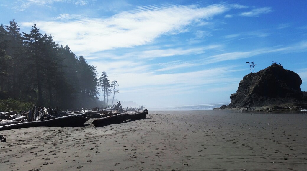 This is a beautiful destination for either a day hike or an overnight camping trip. It is a .7 mile hike from the trailhead to the beach, then you climb over 20' - 30' of driftwood to access the sandy shores of the ocean. #LifeAtExpedia