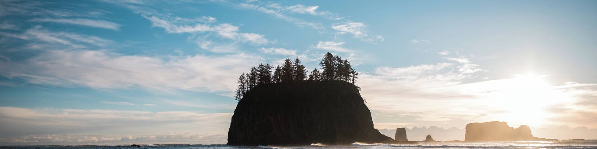 A beach with a prominent rock formation surrounded by trees, reflecting the sun.