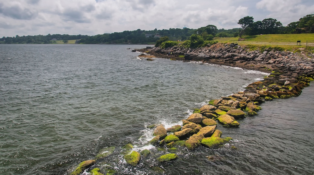 로키 포인트 해변