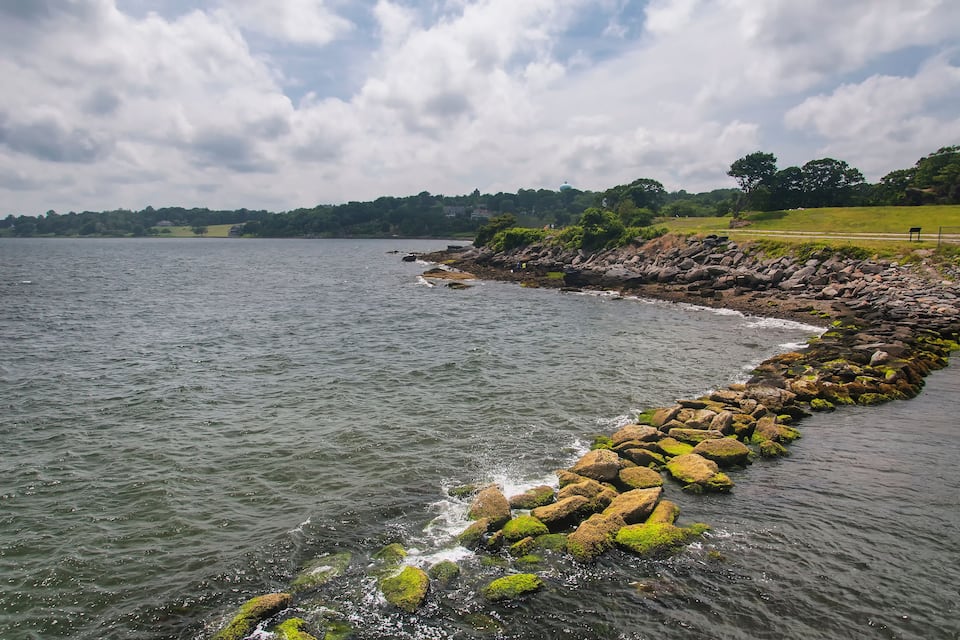 A rocky shoreline with a row of large boulders and a grassy area in the background.