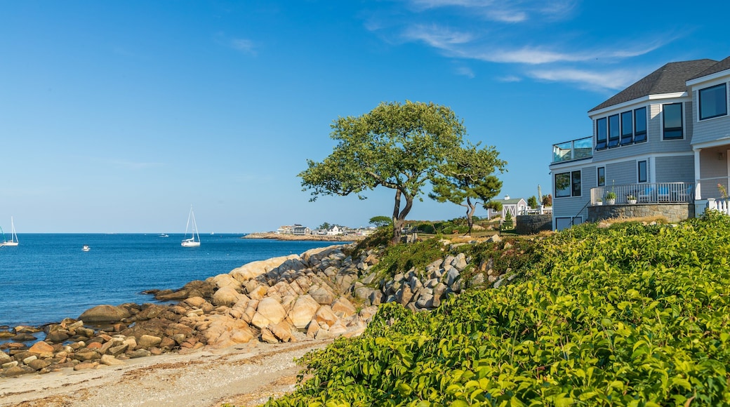 Back Beach showing general coastal views