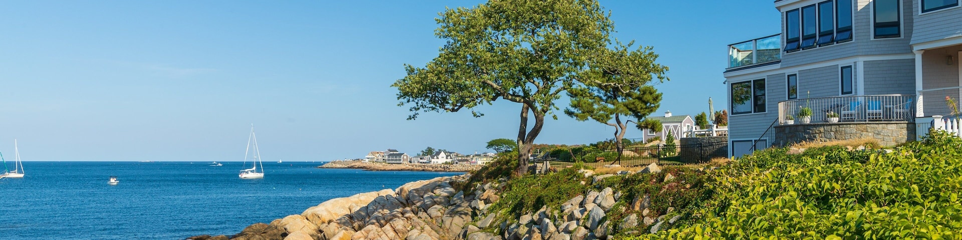 Back Beach showing general coastal views