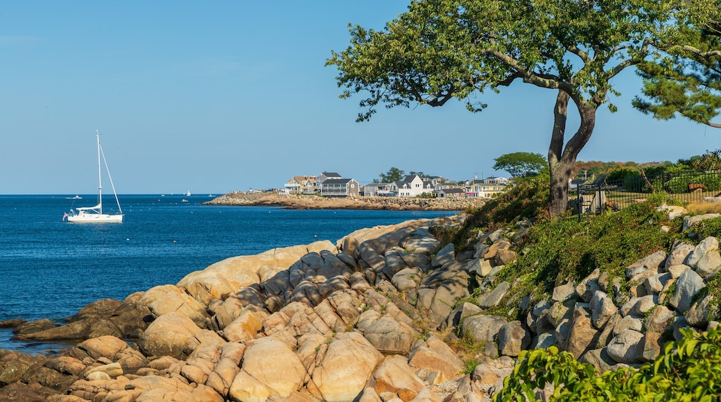 Back Beach featuring general coastal views and rugged coastline