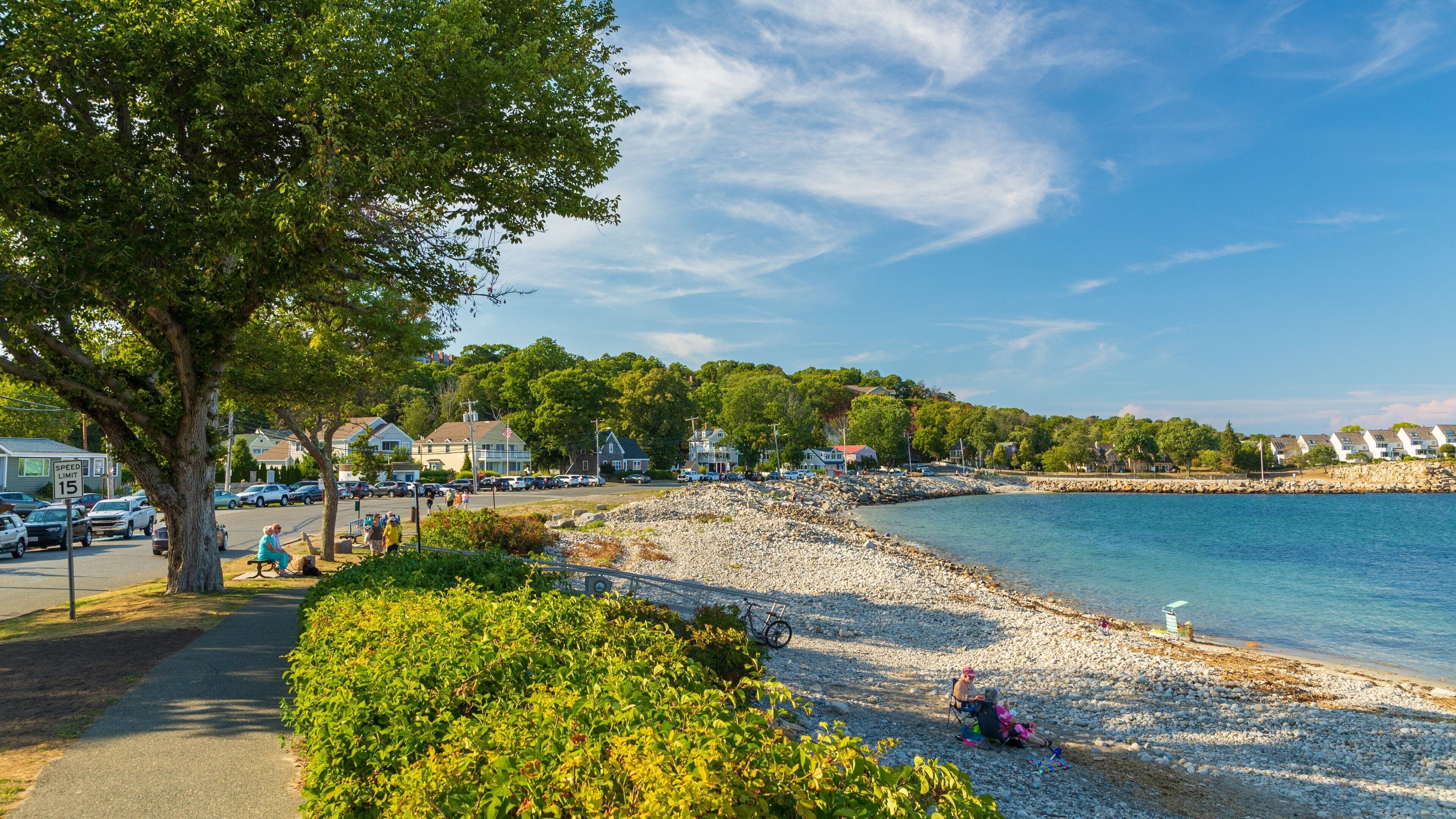 Back Beach featuring general coastal views and a coastal town