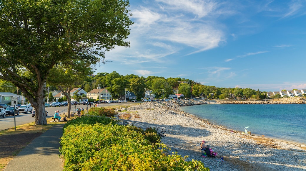 Back Beach featuring general coastal views and a coastal town