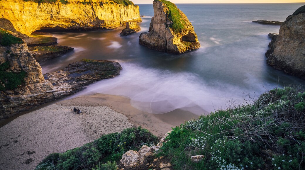 Shark Fin Cove in Davenport, CA