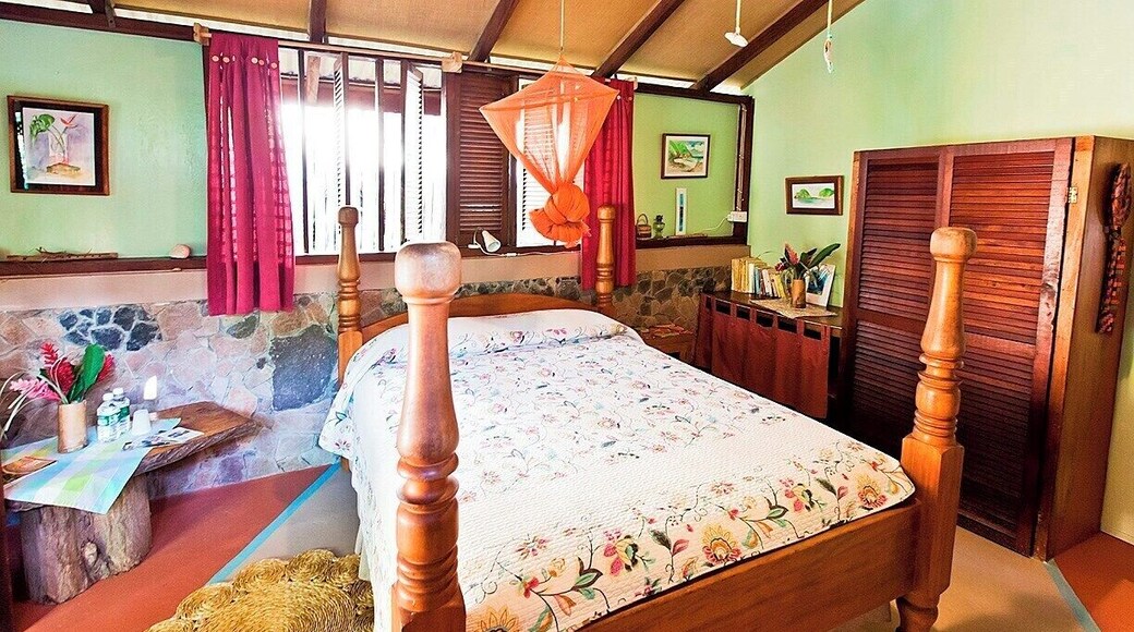 What a cute room - so sad we only stayed a week :) Each of the six rooms in this charming little B&B is unique and full of character. Iris and her team are wonderful hosts, and can set you up with local tours and activities.
The breakfasts are great, and the dinners are even better - think local ingredients and traditional recipes.
It's located a few miles outside town in the beautiful Roseau Valley, so you'll need transport of some kind - but that's true pretty much anywhere you stay on Dominica. Your best bet is to hire a car and driver for day trips to the nearby waterfalls, sulfur springs, and hiking trails.