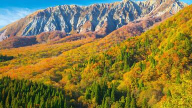 A mountainous landscape with autumn foliage.