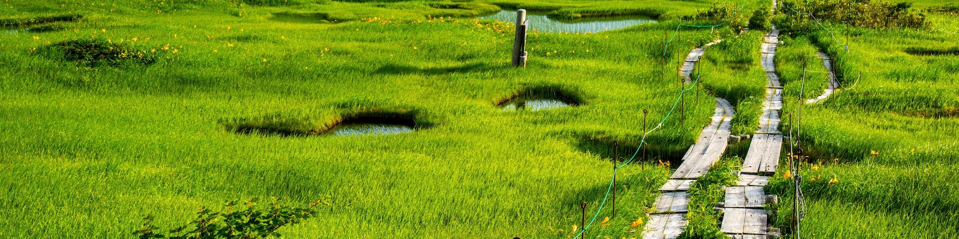 Mt. Gassan Midagahara Marsh and Sea of Clouds, Japan,Yamagata Prefecture,Higashitagawa District, Yamagata,Tsuruoka, Yamagata