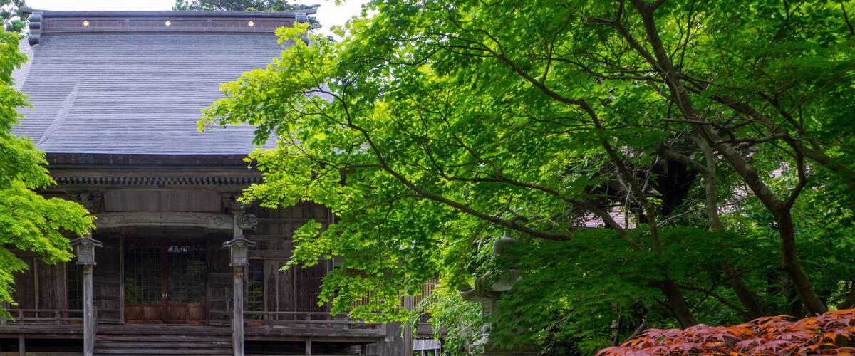 Old unmanned temple surrounded by maple trees with red and green leaves (Hokoin, Yahiko, Niigata, Japan)