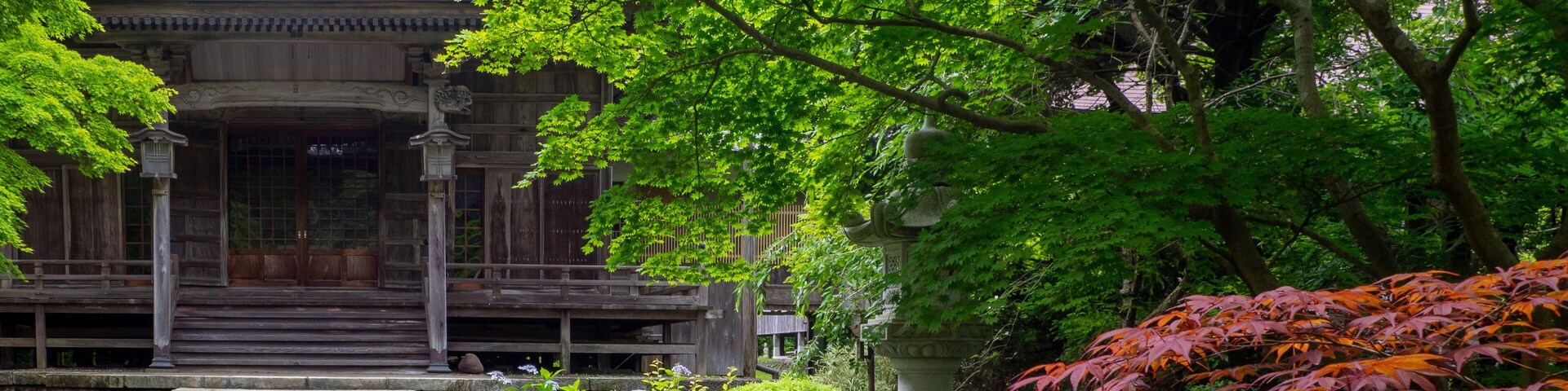 Old unmanned temple surrounded by maple trees with red and green leaves (Hokoin, Yahiko, Niigata, Japan)
