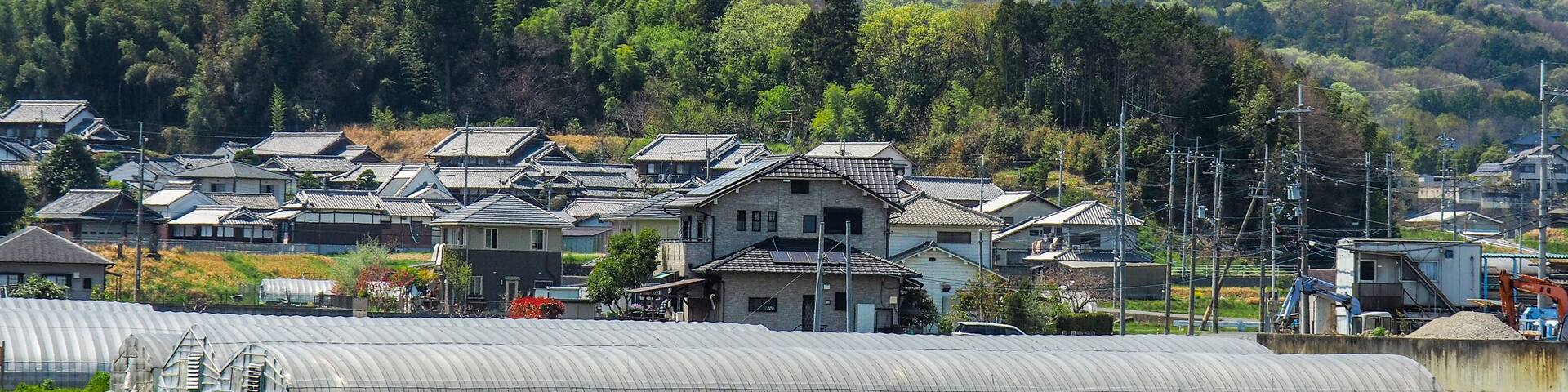 Nara country side with Mt Ikoma