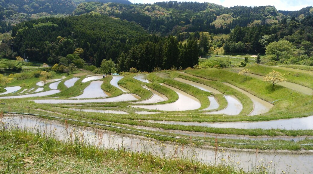 Chiba Prefecture, Japan, is a warm city facing the Pacific Ocean. Ichikawa City's fireworks festival is spectacular.