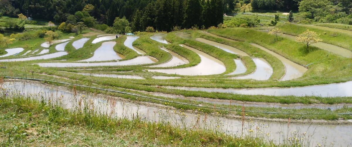 Chiba Prefecture, Japan, is a warm city facing the Pacific Ocean. Ichikawa City's fireworks festival is spectacular.