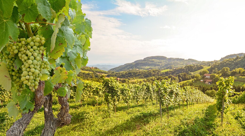 Intercommunalité de Saulieu