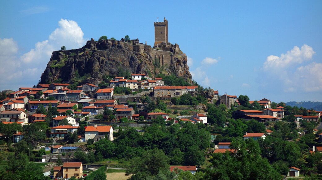 ChĂątaigneraie Cantalienne