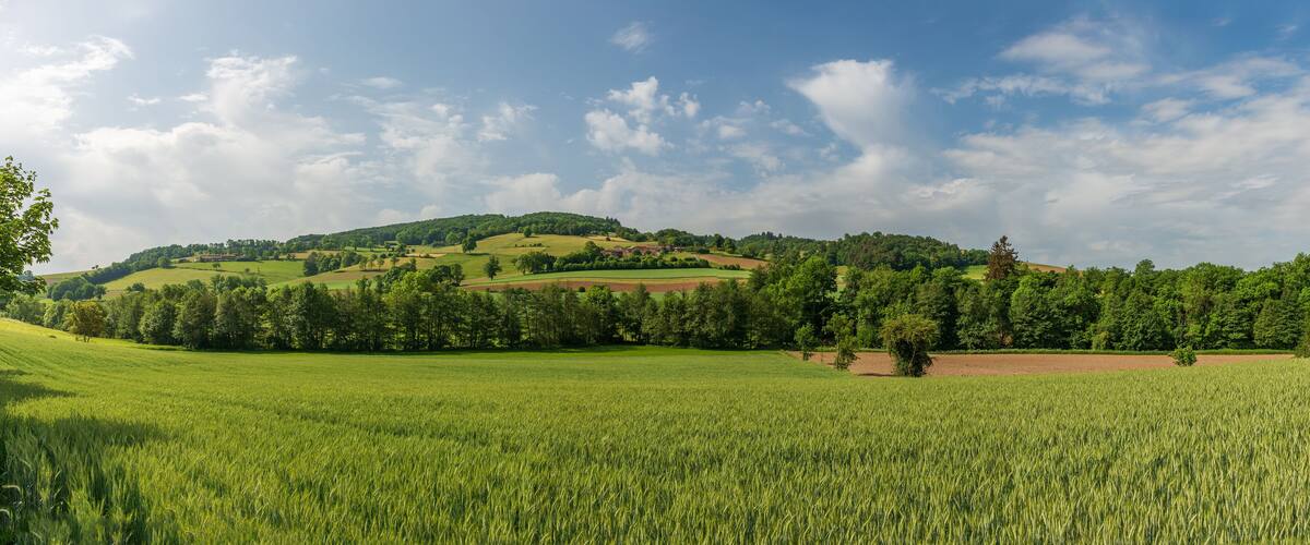 Landscape of the Monts du Lyonnais, in spring, in the Rhône in Auvergne-Rhône-Alpes, France