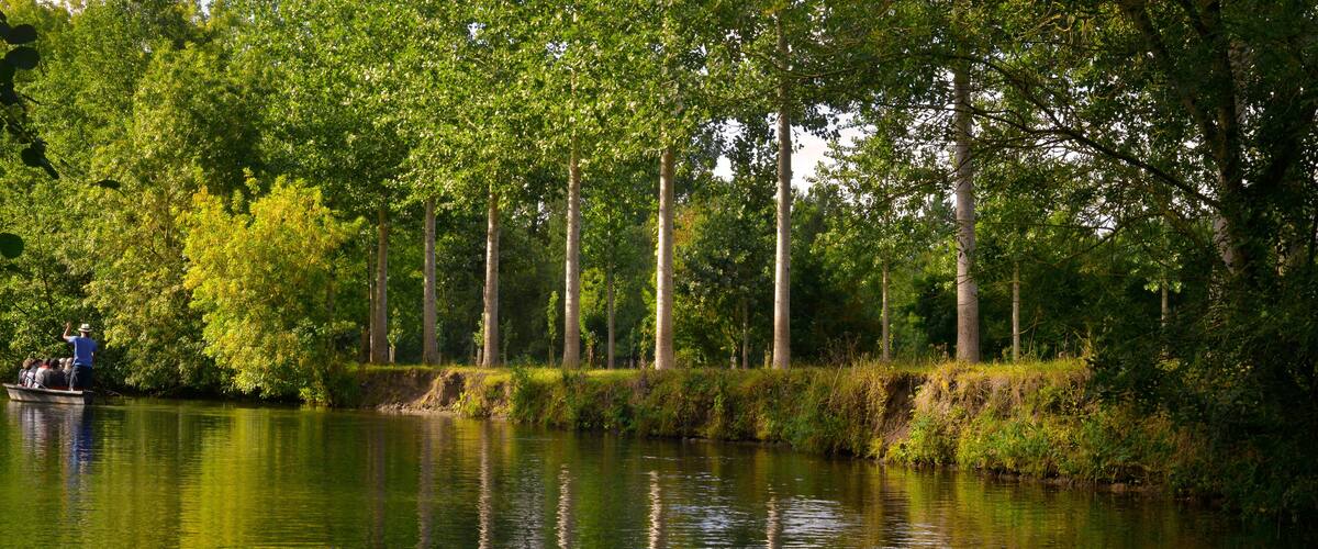 Panoramique embarqué sur l'eau du Marais-Poitevin bordée de peupliers, département de Vendée en région Pays de la Loire, France
