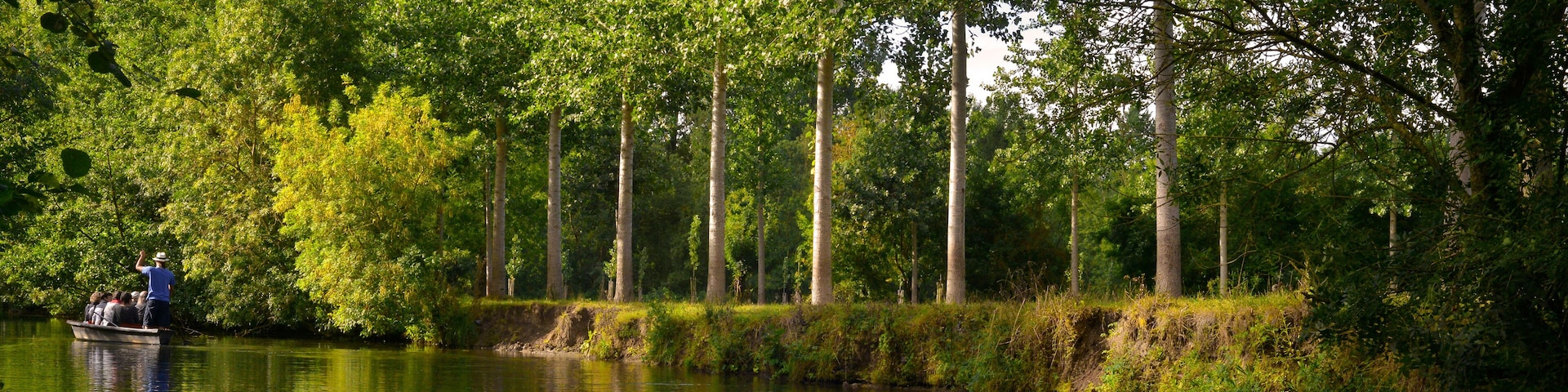 Panoramique embarqué sur l'eau du Marais-Poitevin bordée de peupliers, département de Vendée en région Pays de la Loire, France