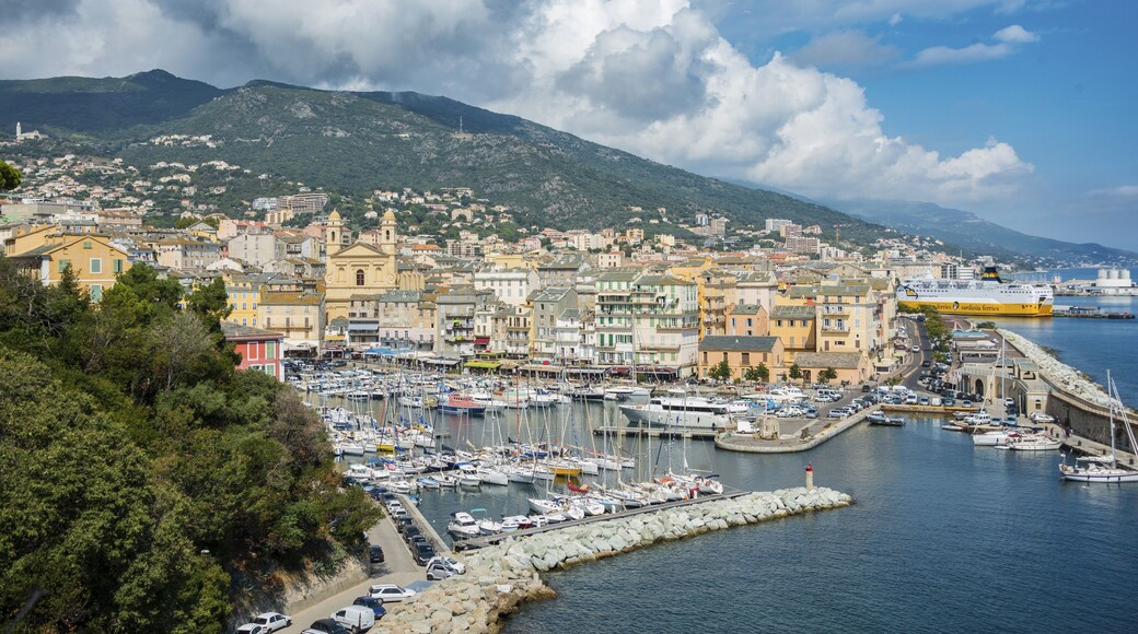 Old port, Vieux port, Port de Plaisance, marina with the church Saint Jean Baptiste, Bastia, Haute-Corse, North Coast, Corsica, France