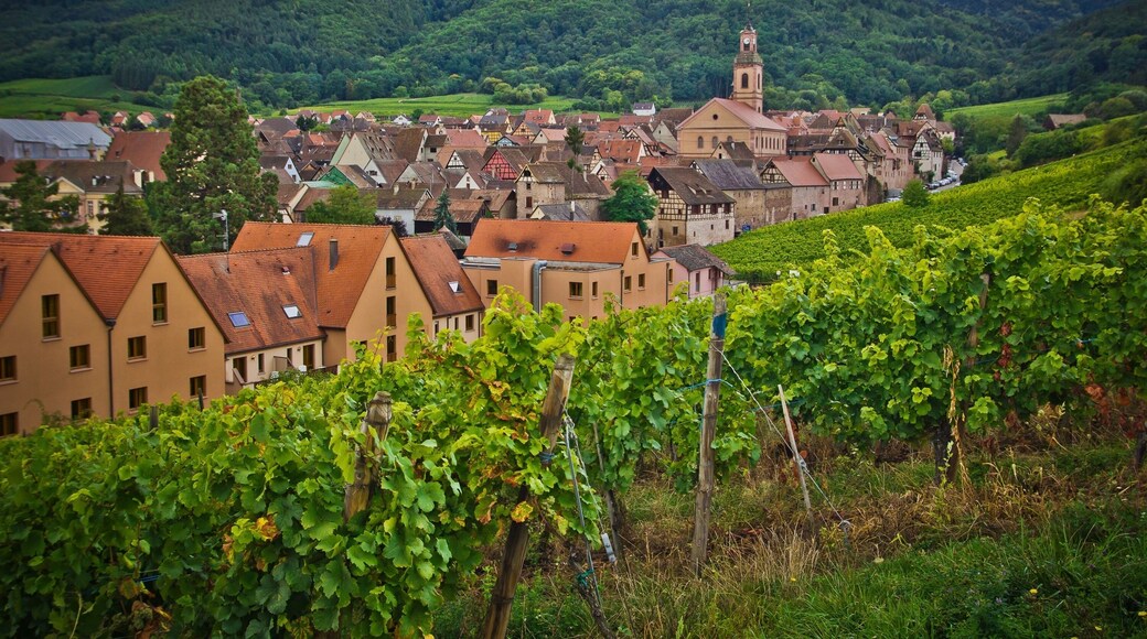 Saint-Avold Synergie